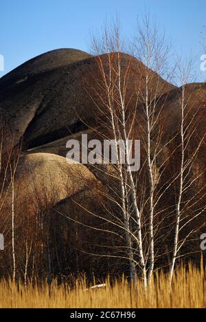 Splendido scenario autunnale con erba gialla, alberi di betulla e colline. Russia Foto Stock