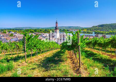 Vista aerea dei vigneti regione vinicola del Rheingau, centro storico di Rudesheim am Rhein con la chiesa di San Jakobus e il fiume Reno, cielo blu sfondo, Renania-Palatinato e stati dell'Assia, Germania Foto Stock