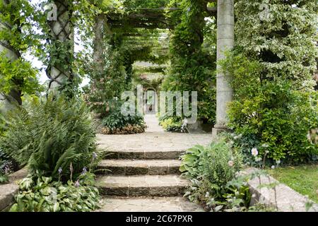 La pergola edoardiana a West Dean Gardens vicino a Chichester nel Sussex orientale Foto Stock