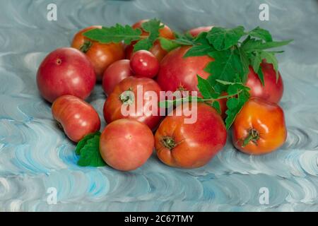 Le varietà di pomodoro hanno il nome Dwarf Firebird Sweet. Pomodoro fresco di manzo rosa maturo. Pomodori a forma di cuore grande Foto Stock