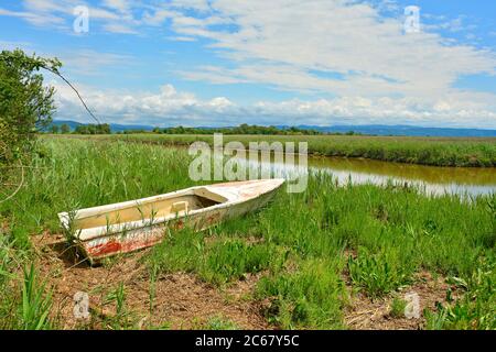 Un vecchio peschereccio in legno nella zona umida dell'Isola della Cona in Friuli-Venezia Giulia, Italia nord-orientale Foto Stock