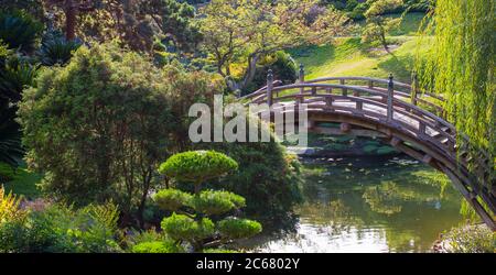 Rustico ponte curvo in legno su un laghetto in un bellissimo e lussureggiante giardino giapponese Foto Stock