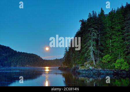Una lunga esposizione della luna che si avvicina a Brown's Bay vicino a Campbell River sull'isola di Vancouver, British Columbia, Canada Foto Stock