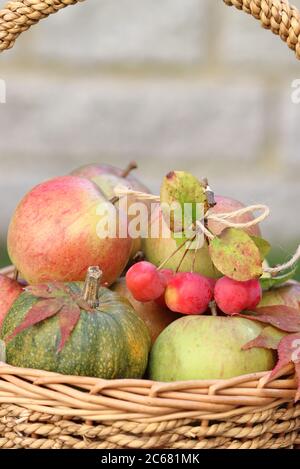 cestino con mele, zucche e mele da granchio Foto Stock