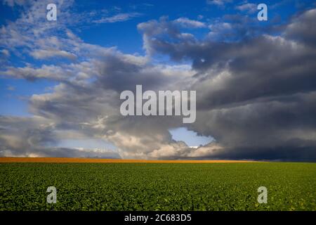 Bonifica delle tempeste sui campi agricoli, Baden-Wurttemberg, Germania Foto Stock