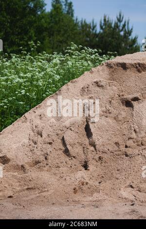 Un mucchio di sabbia versato in un prato per la costruzione. Foto Stock