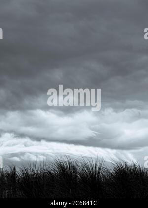 Nuvole tempesta e erba sulle dune di Inch Beach sulla penisola di Dingle, Inch, County Kerry, Irlanda Foto Stock