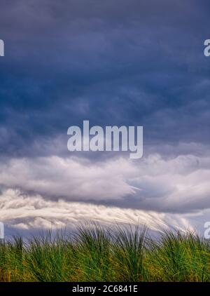 Nuvole tempesta e erba sulle dune di Inch Beach sulla penisola di Dingle, Inch, County Kerry, Irlanda Foto Stock