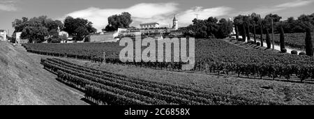 Vigneti vicino Bordeaux nella piccola città di Saint-Emilion, Gironda, Francia Foto Stock