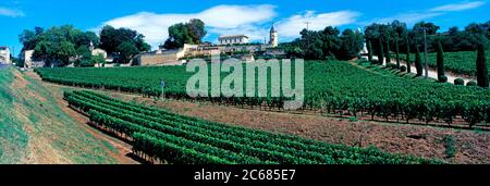 Vigneti vicino Bordeaux nella piccola città di Saint-Emilion, Gironda, Francia Foto Stock