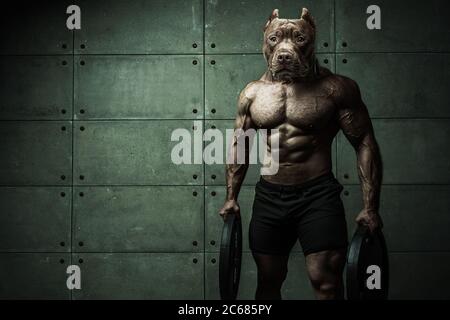 Bodybuilder uomo-cane si trova sullo sfondo di una parete di cemento Himur UN uomo con la testa di un cane Foto Stock