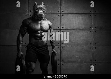Bodybuilder uomo-cane si trova sullo sfondo di una parete di cemento Himur UN uomo con la testa di un cane Foto Stock