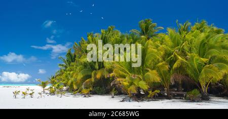 Vista sulla spiaggia e sulle palme, sulla laguna di Aitutaki, su Aitutaki e sulle isole Cook Foto Stock