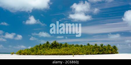 Vista sulle palme sulla laguna di Aitutaki, Aitutaki, Isole Cook Foto Stock