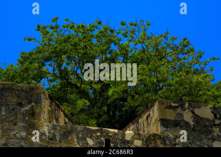 Le mura di San Juan Foto Stock