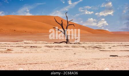 Un antico scheletro di alberi in una padella di argilla, con uno sfondo di grandi dune di sabbia rossa nel deserto del Namib a Deadvlei, Namibia. Foto Stock