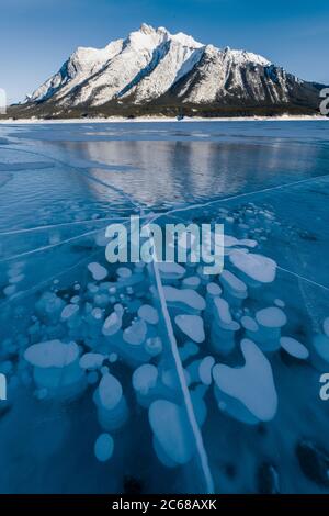 Bolle di metano congelate in ghiaccio sotto il Monte Michener, Abraham Lake, Alberta, Canada Foto Stock