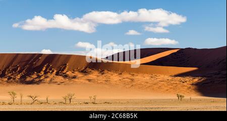 Vista delle dune, Sossusvlei, Namib-Naukluft Parco Nazionale, Namibia, Africa Foto Stock
