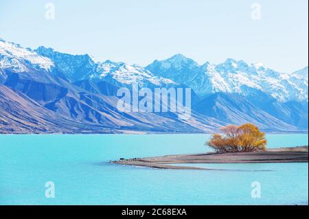 Stagione autunnale in Nuova Zelanda Foto Stock