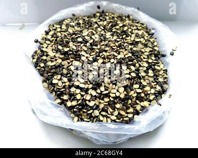 Split Black Lentil anche conosciuto come Black Gram, Black URAD dal, Vigna Mungo, URAD Bean, URAD dal, Minapa Pappu, Mungo Bean o Black Matpe Bean isolato su Foto Stock