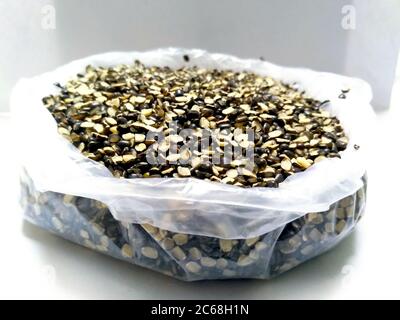 Split Black Lentil anche conosciuto come Black Gram, Black URAD dal, Vigna Mungo, URAD Bean, URAD dal, Minapa Pappu, Mungo Bean o Black Matpe Bean isolato su Foto Stock