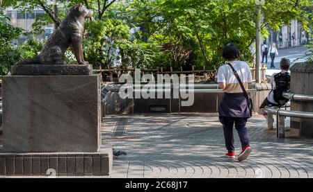 Statua del cane Hachiko a Shibuya, Tokyo, Giappone Foto Stock