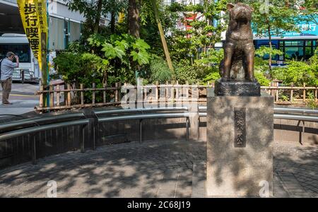 Statua del cane Hachiko a Shibuya, Tokyo, Giappone Foto Stock