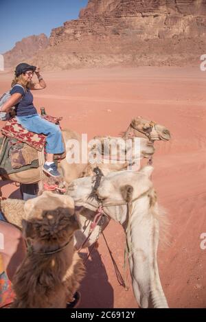 Asia, Medio Oriente, Giordania, Wadi Rum Foto Stock