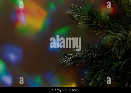 Ramo abete su sfondo bokeh multicolore. Spazio per il testo. Foto Stock