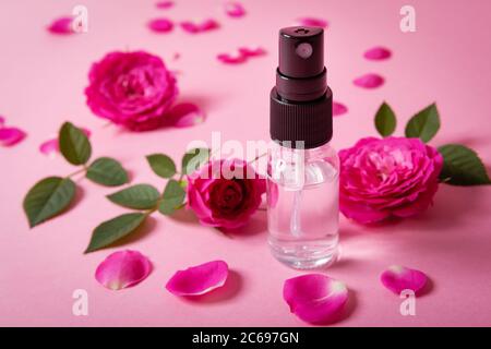 acqua di rosa profumata spray con fiori freschi rosa e petali su sfondo rosa Foto Stock
