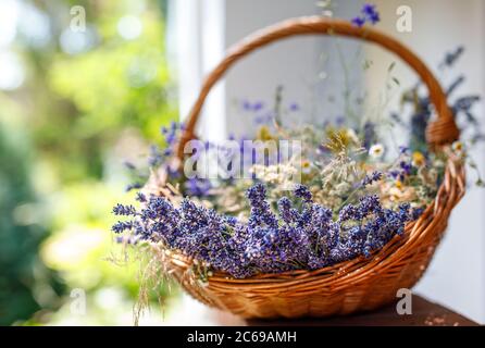 Idillio rurale. Bouquet di fiori di lavanda nel cesto con sfondo soleggiato e sfocato. Foto Stock