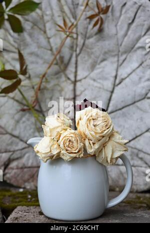 Rose bianche appassite in un vecchio contenitore per latte con fondo in cemento Foto Stock