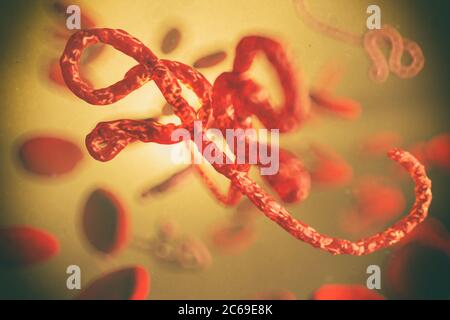 Vista microscopica del virus ebola, illustrazione 3d Foto Stock