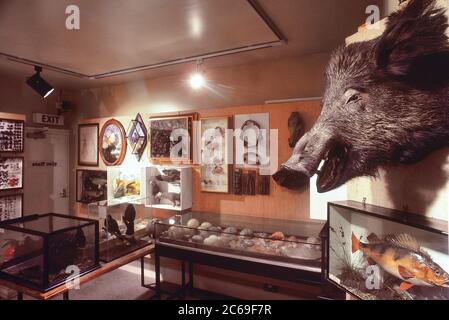 L'ex Cumberland House. Museo di Scienze naturali e acquario. Ora chiamato Cumberland House Natural History Museum, Portsmouth, Hampshire, Inghilterra, Regno Unito. Circa1987 Foto Stock