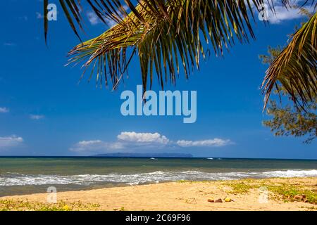 Palme e spiaggia su Kauai incorniciano l'isola di Niihau all'orizzonte, Hawaii. Foto Stock