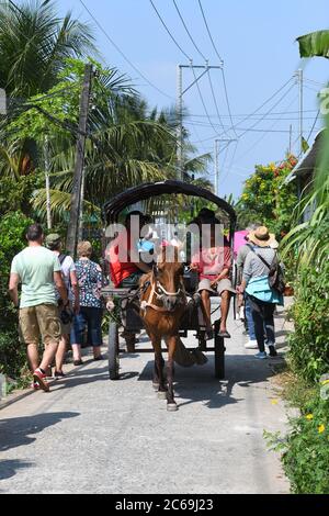 Un cavallo e un carrello che dà ai turisti passeggiate sulla strada stretta dell'Isola Unicorn (Cù lao Thới Sơn) My Tho, Vietnam. Foto Stock