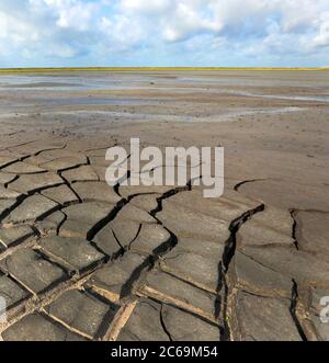 Fratture di ritiro nella riserva naturale Markerwadden, Paesi Bassi, Markerwadden Foto Stock