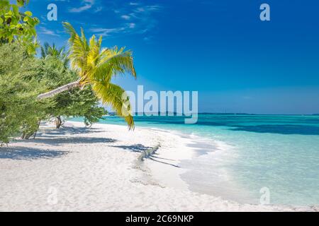 Sfondo tropicale della spiaggia come paesaggio estivo con altalena o amaca e sabbia bianca e mare calmo per striscione spiaggia. Perfetta vacanza sulla spiaggia Foto Stock