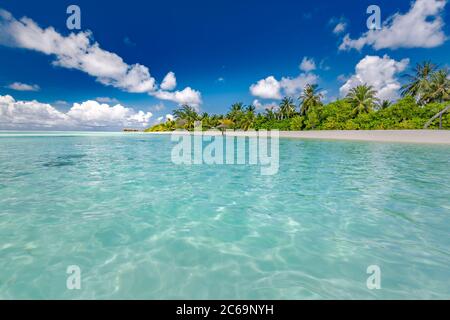 Bella palma sulla spiaggia tropicale isola su sfondo cielo blu con nuvole bianche e oceano turchese in giornata di sole. Paesaggio naturale perfetto Foto Stock