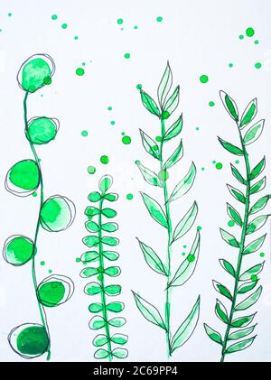 Set di elementi acquerelli - fiori selvatici, erbe, foglie. Disegno acquerello di erbe selvatiche della foresta. Foto Stock