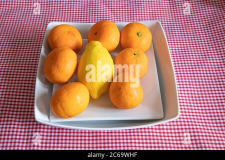 Satsuma fresca con un limone in una ciotola bianca su una tovaglia di gingham rosso Foto Stock