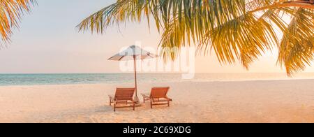 Bella spiaggia tropicale banner. Sabbia bianca e palme da cocco turismo di viaggio ampio panorama di fondo concetto. Paesaggio di spiaggia incredibile, vacanza di lusso Foto Stock