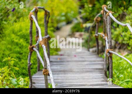 Ponte panoramico semplice sospeso sul torrente della giungla, sfondo della natura sfocato Foto Stock