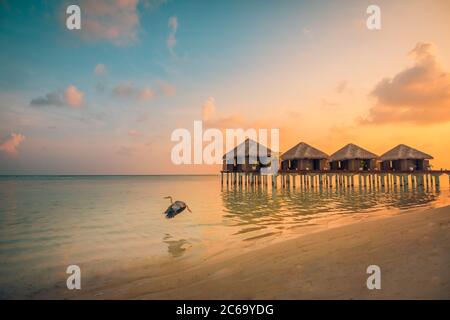 Tramonto sull'isola delle Maldive, resort di lusso con ville d'acqua e molo in legno. Belle nuvole di cielo e sfondo spiaggia per vacanze estive viaggio Foto Stock
