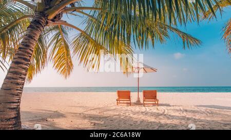 Bella spiaggia tropicale banner. Viaggi di lusso sabbia bianca e palme da cocco turismo viaggio ampio panorama di fondo concetto. Splendido paesaggio sulla spiaggia Foto Stock