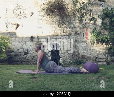 Donna di mezza età che fa yoga in una serata estiva nella privacy di un giardino murato accompagnato dal suo cane Labrador nero. Foto Stock