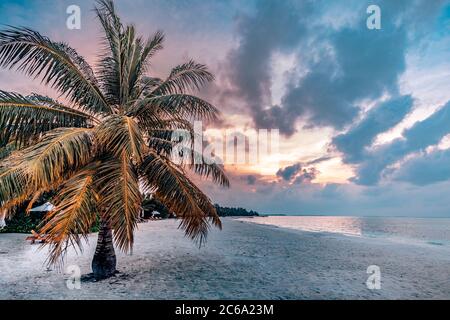 Silhouette di palma su sfondo di tramonto tropicale. Concetto di cielo di sabbia del mare, colori del tramonto nuvole, orizzonte, tramonto orizzontale della spiaggia, vacanza estiva Foto Stock