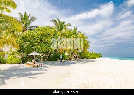 Paradiso tropicale spiaggia con sabbia bianca e palme cocco viaggio turismo ampio sfondo panorama. Banner vacanza e vacanza di lusso, spiaggia tropicale Foto Stock