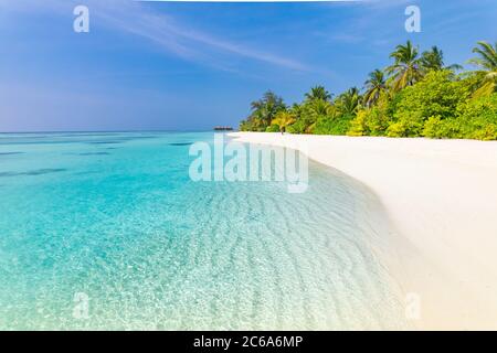 Panorama estivo sulla spiaggia. La costa esotica dell'isola con palme e sabbia bianca vicino all'incredibile mare blu e alla laguna. Spiaggia paradiso tropicale Foto Stock