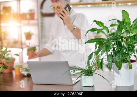 Donna fiorista senior che tiene la pianta verde in vaso e che parla sul telefono cellulare. Computer portatile sul tavolo, sala luminosa piena di piante Foto Stock